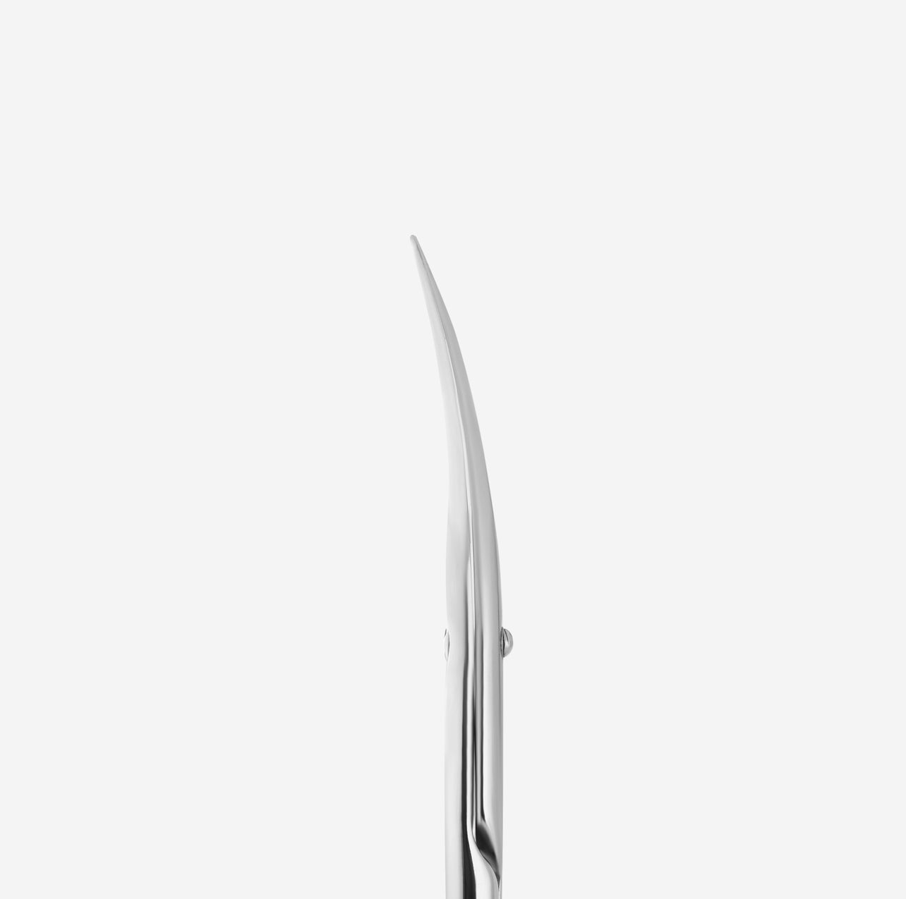 Professional cuticle scissors Staleks Pro Exclusive 20 Type 1 (Magnolia)