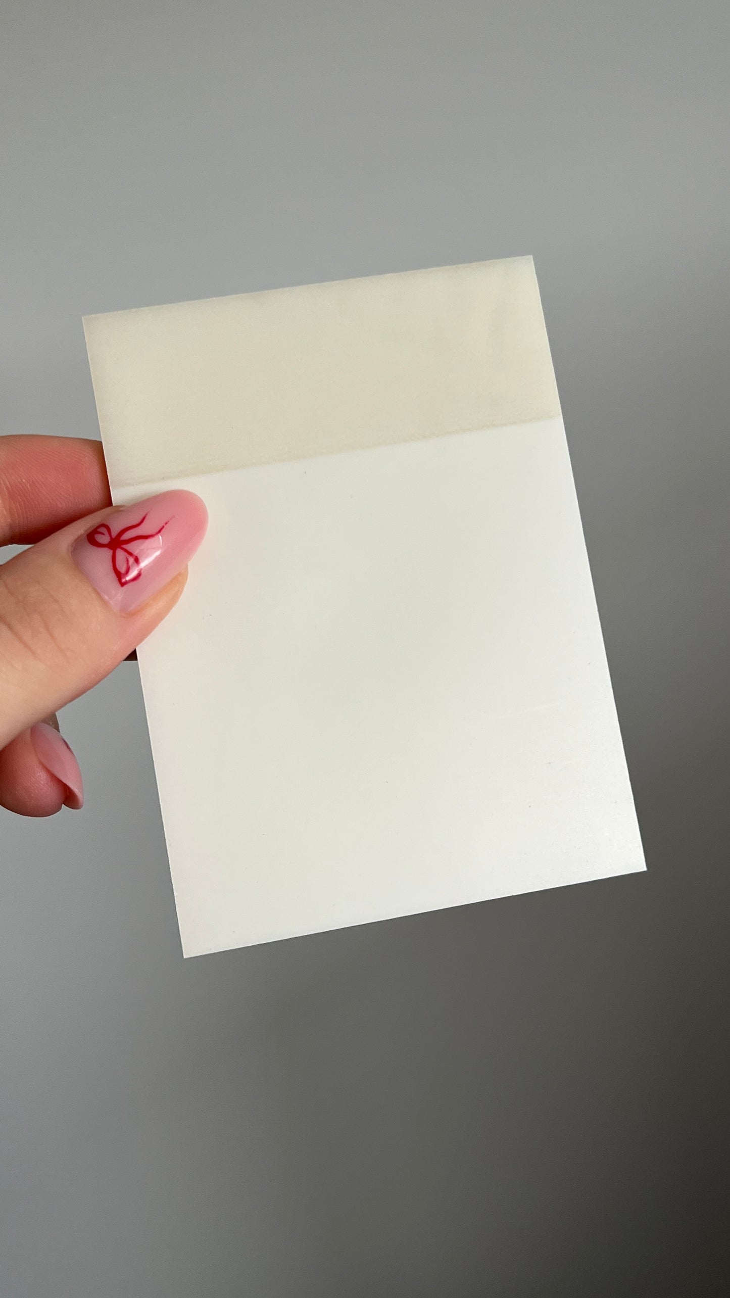 Transparent Nail Art Palet