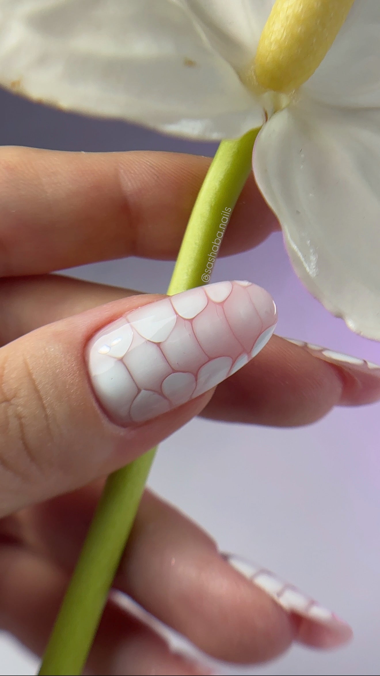 Melbourne Dual Forms Group Class !!!