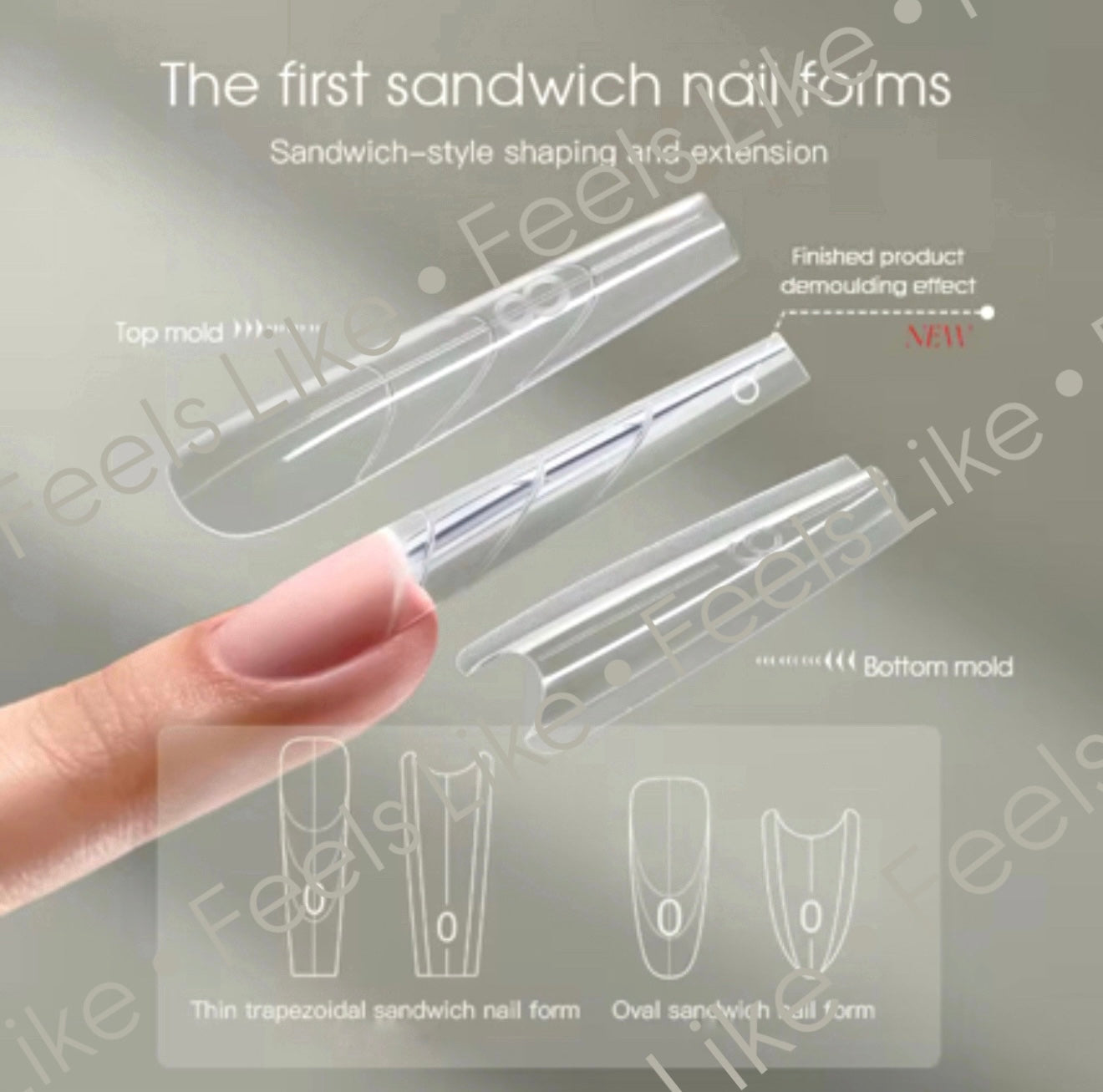 Sandwich Dual Forms Preorder !!!